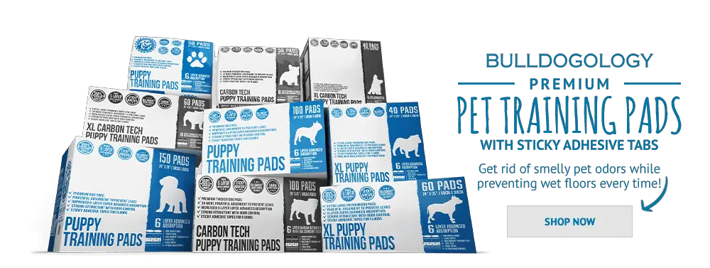 Try Bulldogology Premium Pet Training Pads Today!
