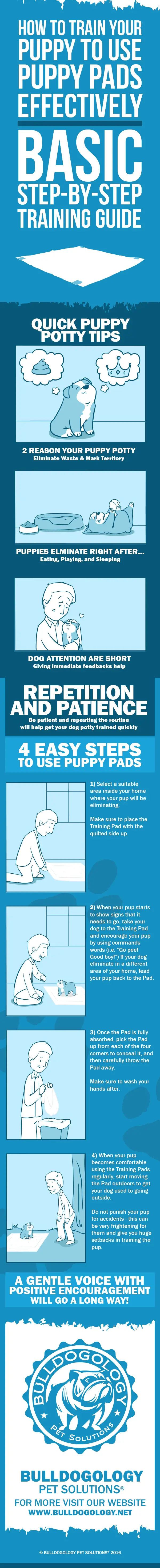 How to use puppy pads in 4 easy steps