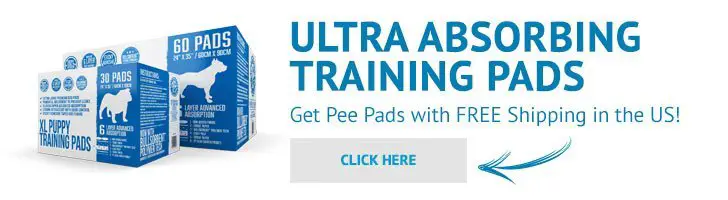 pee pads banner02 4 Great Tips for Potty Training Your Puppy in Winter