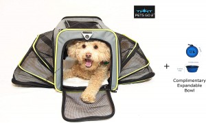 PETS GO2 Motorcycle Pet Carrier: 7 Best Premium Quality Pet Carriers In 2022