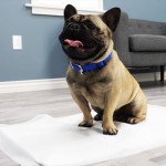 frenchie bulldogology pad01 Premium Pet Training Pads XL