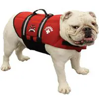 bulldog-life-vest