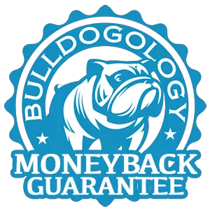 bulldogology moneyback Washable Pee Pads for Dogs