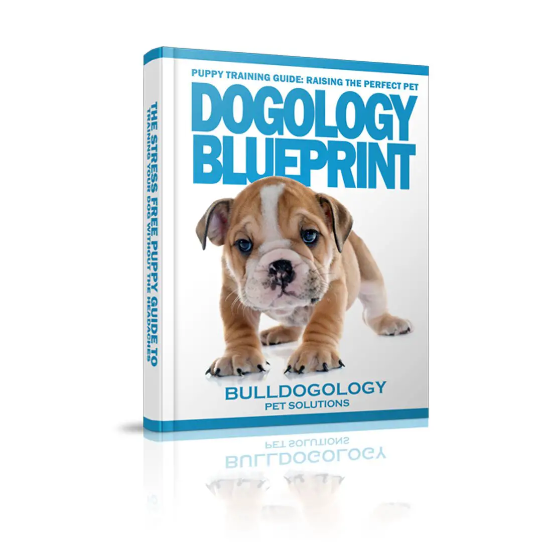 dogology blueprint main01 Dogology Blueprint Puppy Training Guide