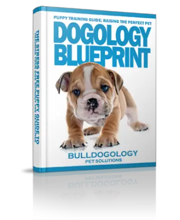 dogology blueprint01 e1482530374965