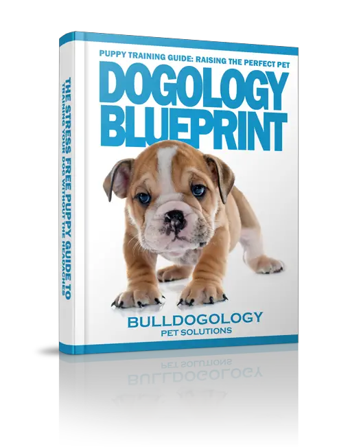 dogologyblueprint