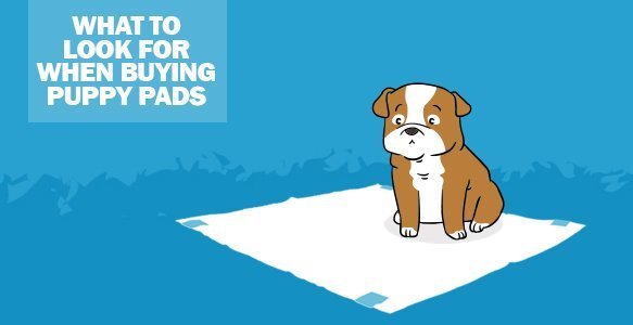 What To Look For When Buying Puppy Pads