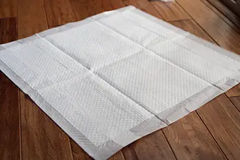 best puppy pads