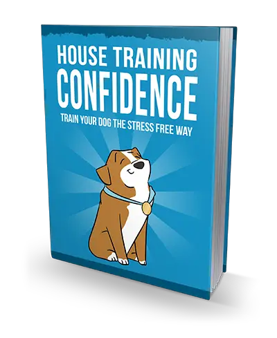 house training cofidence img