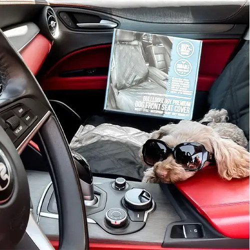 Pet Front Bucket Seat Cover 13 covers customer images 0001 6BBB8055 40BC 441A A848 60C0DFC2050C Pet Front Bucket Seat Cover