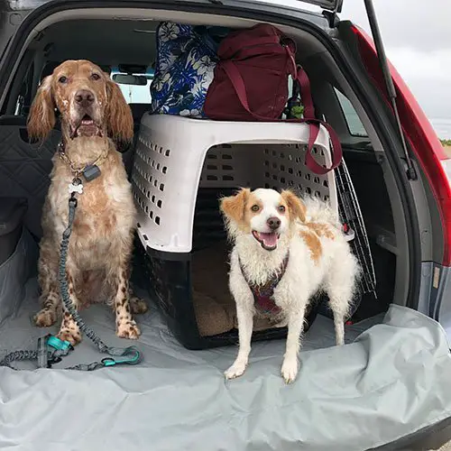 Pet Front Bucket Seat Cover 9 covers customer images 0005 B9A17F5C 150D 4263 B3F3 AC8B9DBF4A6A Pet Front Bucket Seat Cover