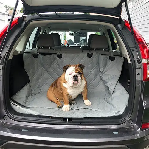 covers customer images 0007 28C2ED12 0EAC 4BFB B2FE 30CA239D0733 Dog Car Seat Cover with Multifunction