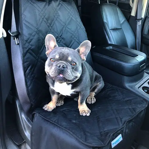 car seat covers for dogs