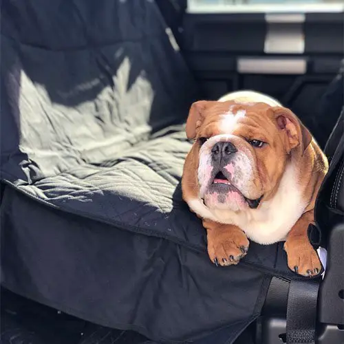 covers customer images 0011 84ECA616 EE9B 4754 8299 5B837DBBF889 1 105 c 1 Dog Car Seat Cover with Hammock