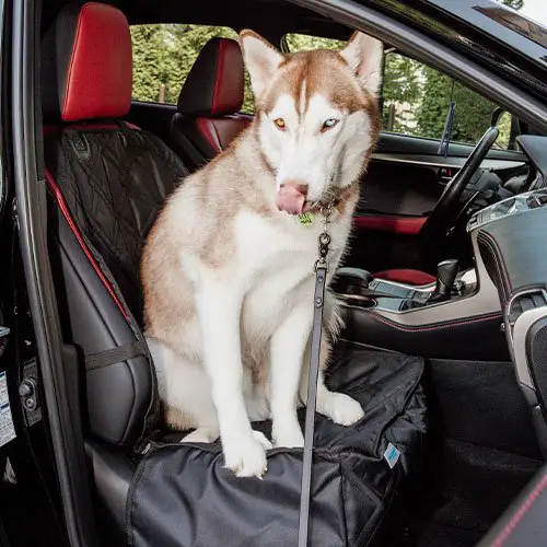 Pet Front Bucket Seat Cover 3 covers customer images 0012 20200703 AFM 5809 Pet Front Bucket Seat Cover
