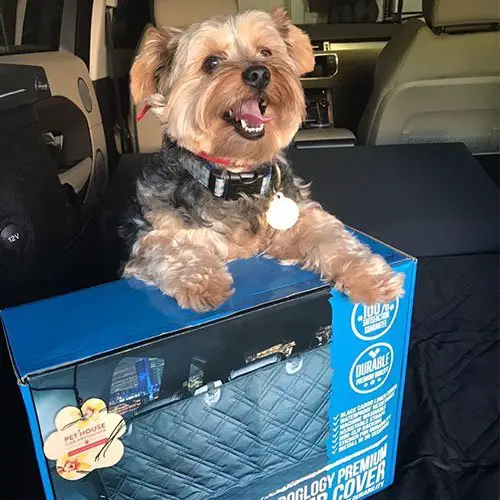 Pet Front Bucket Seat Cover 2 covers customer images 0014 2A994AAB E9F2 4388 863C 2552A517F873 Pet Front Bucket Seat Cover