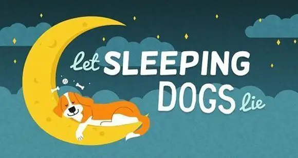 [Infographic] How Much Sleep Do Dogs Need