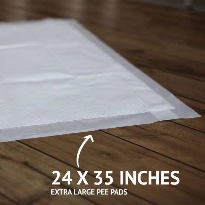 bulldogology pee pads