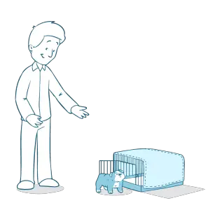 Training Your Dog to Use a Crate