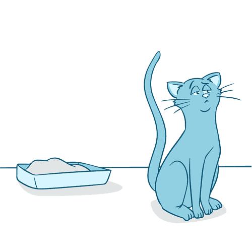 5 Simple Tips for Using Pee Pads for Cats at Home Bulldogology