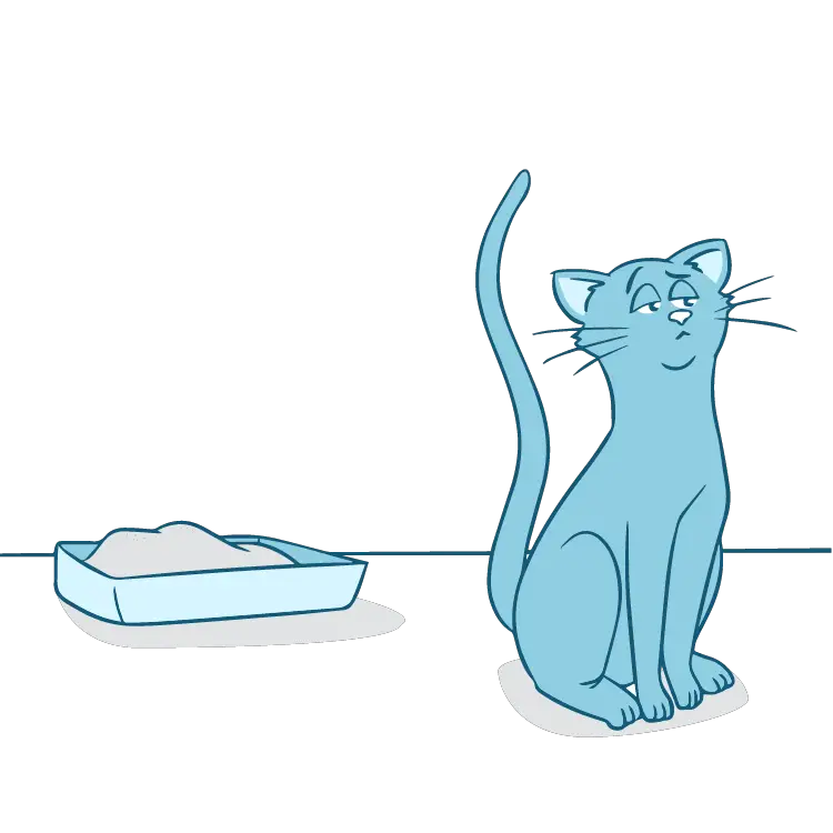 5 Simple Tips for Using Pee Pads for Cats at Home