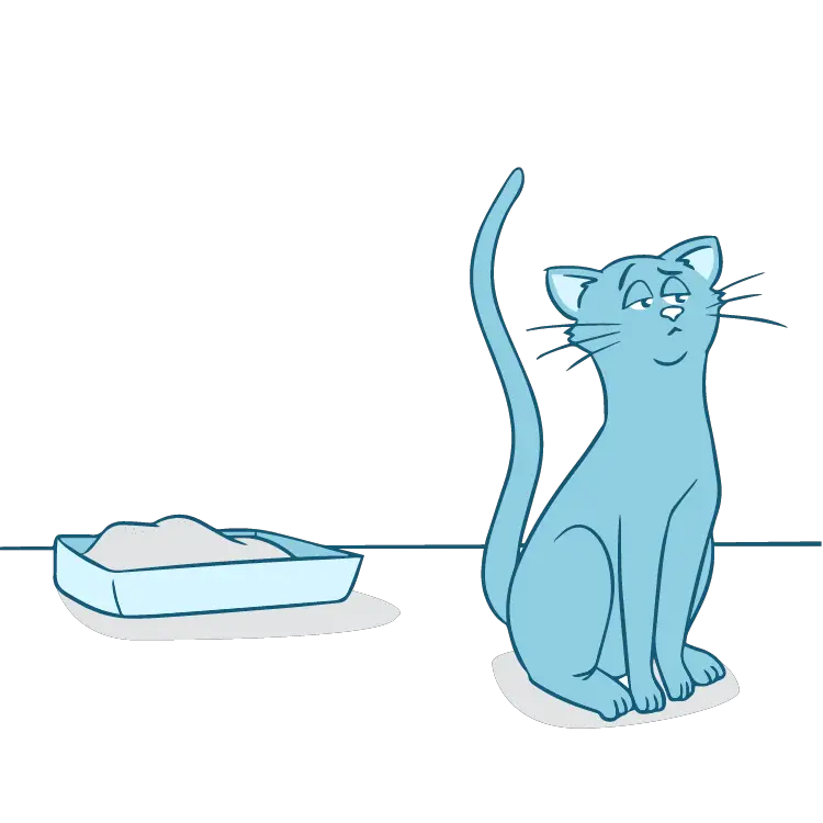 cat litter training pads