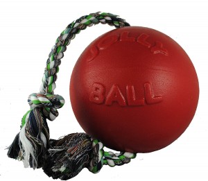 Jolly Pets Romp Roll Ball