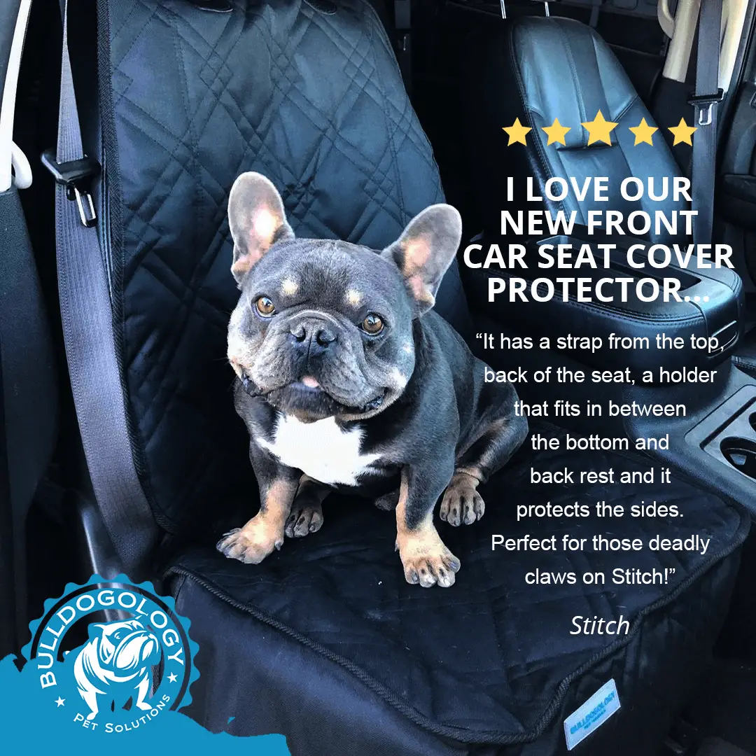 xqqr Car Seat Covers 2 Pack Cool English Bulldog Smoking Universal Bucket Front Steats Cover Protector Cushion for Truck SUV Van