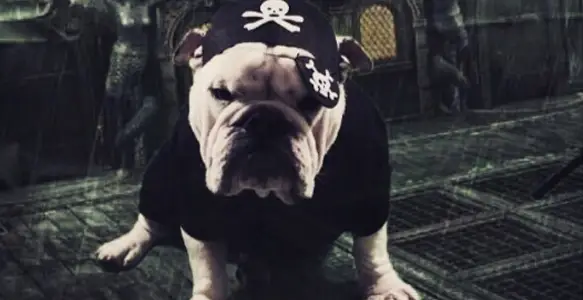 Bulldog Sea: 7 Funny Bullies In Talk Like A Pirate Day 2017