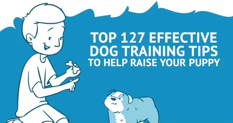 How To Train A Puppy – Top 127 Effective Dog Training Tips