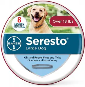 Bayer Animal Health Keep Your Dog Safe With The Best Flea Collar For Dogs