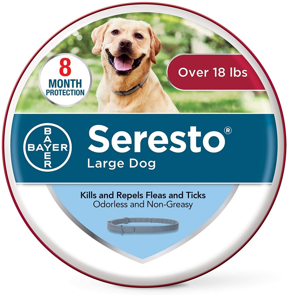 Keep Your Dog Safe With The Best Flea Collar For Dogs Bulldogology