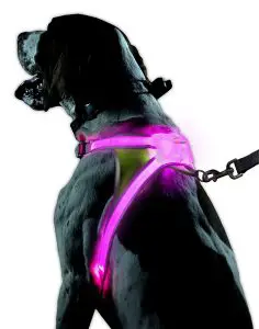 Noxgear LightHound – Revolutionary Illuminated and Reflective Harness for Dogs Including Multicolored LED Fiber Optics