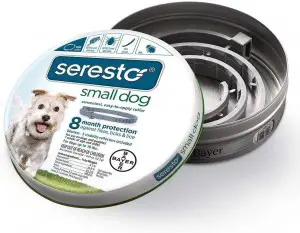 Seresto Flea Tick 7 to 8 Month Keep Your Dog Safe With The Best Flea Collar For Dogs