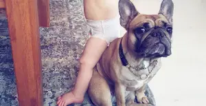 babysittingonbulldog