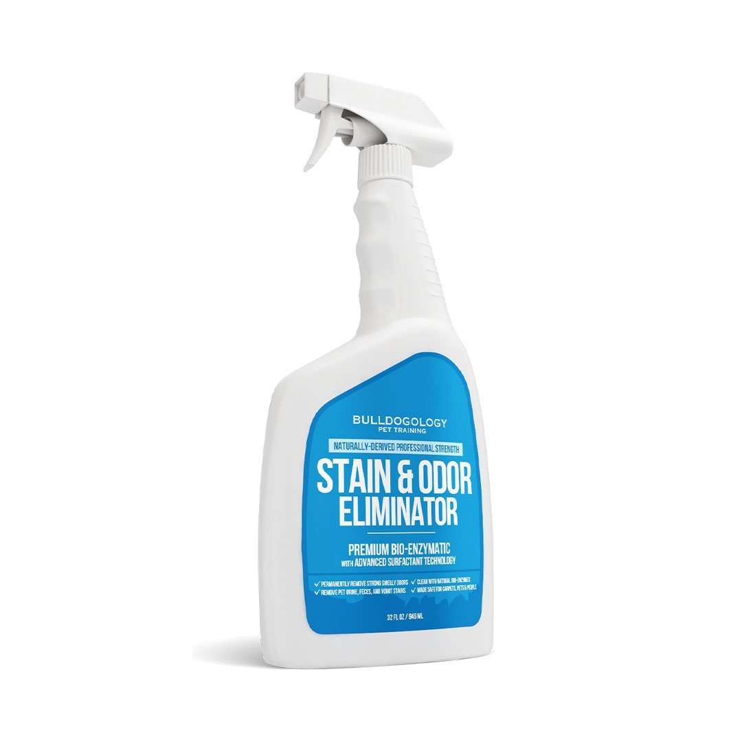 stain odor removers01 Bulldogology Pet Stain & Odor Remover (32 oz)