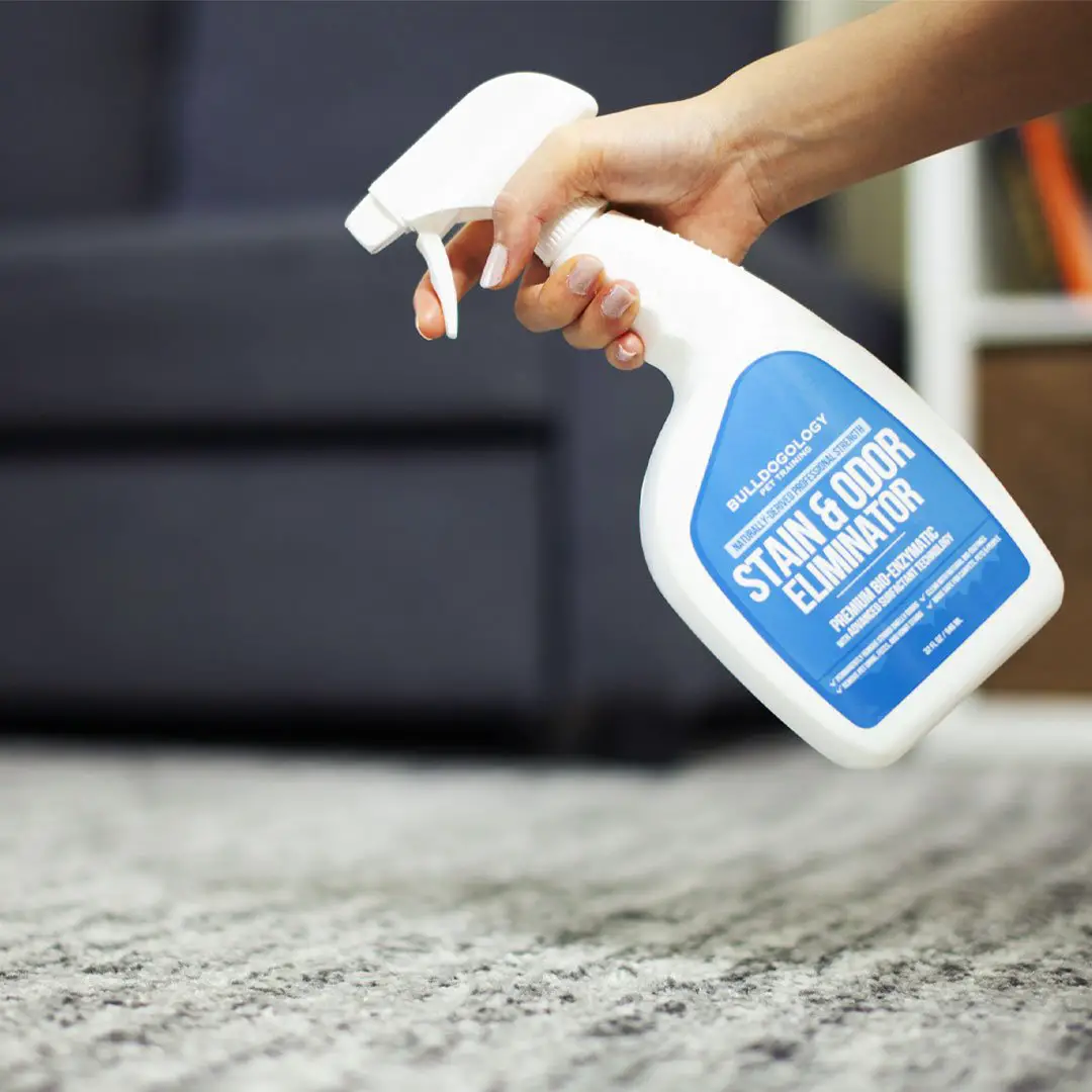 stain odor removers03 Bulldogology Pet Stain & Odor Remover (32 oz)