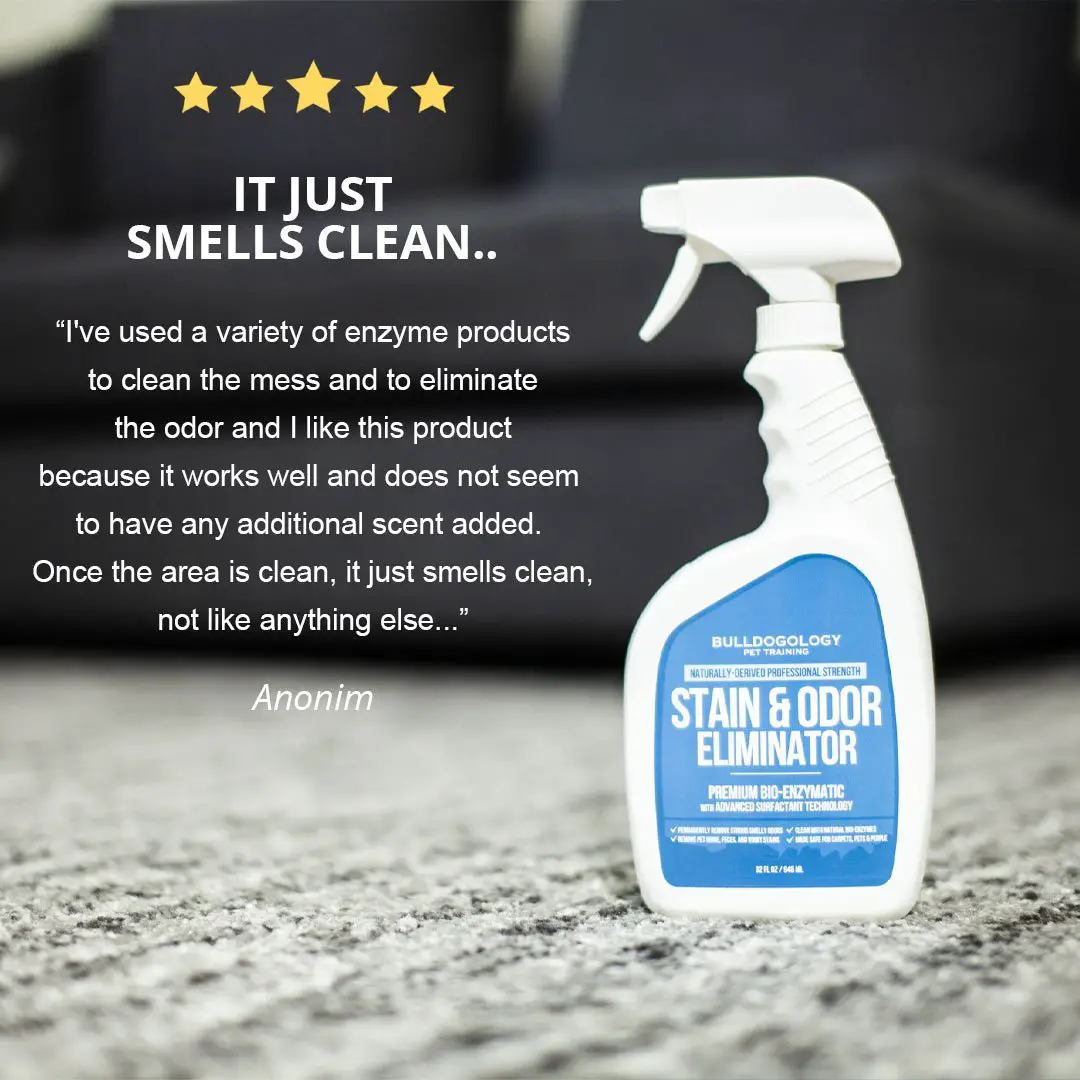 stain odor removers04 Bulldogology Pet Stain & Odor Remover (32 oz)
