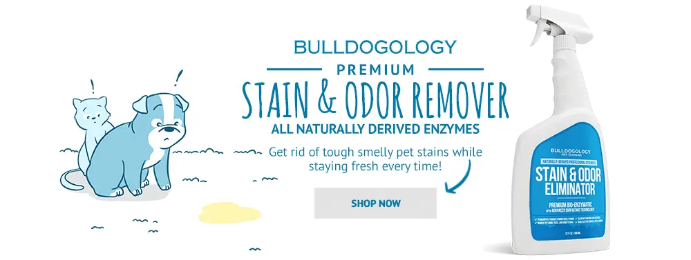 Pet Stain Solution