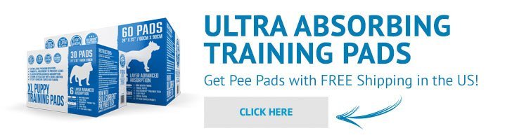 pee pads banner02 4 Great Tips for Potty Training Your Puppy in Winter