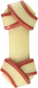 Nylabone Power Chew 10 Best Dental Chews for Dogs: Reviews and Advices