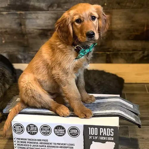 Premium Pet Training Pads XL 4 pp customer images 0005 5BB3D21C 7881 44DE 8E03 008089B26897