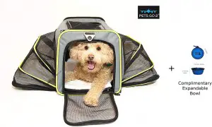 PETS GO2 Motorcycle Pet Carrier: 7 Best Premium Quality Pet Carriers In 2023