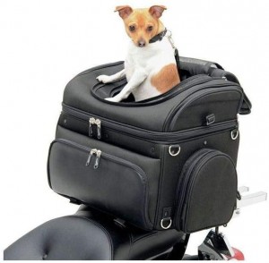 Saddlemen 3515 0131 Pet Voyager Motorcycle Pet Carrier: 7 Best Premium Quality Pet Carriers In 2023