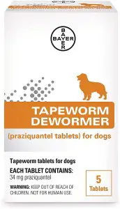 Bayer Tapeworm The 9 Best Dewormer For Dogs of 2023