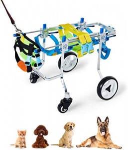 GaoFan Dog Dog Wheelchair: How To Choose The Best One (2020)