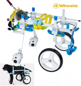 HiHydro 6 Types Cart Pet Dog Wheelchair: How To Choose The Best One (2020)