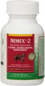 Pfizer Nemex 2 The 9 Best Dewormer For Dogs of 2023