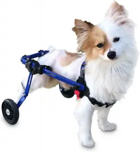 Walkin Wheels Dog Wheelchair XS for MiniToy Breeds 2 10 Pounds Dog Wheelchair: How To Choose The Best One (2020)