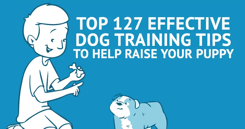 127 Dog Training Tips